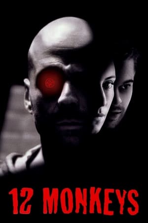12 Monkeys (1995) Dual Audio | Hindi Full Movie BluRay [1GB]