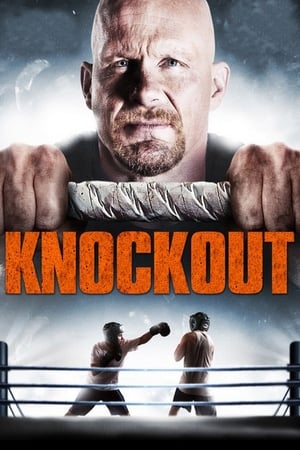 Born to Fight 2011 Dual Audio | Hindi Full Movie BluRay [1.3GB]