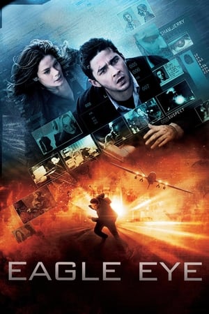 Eagle Eye (2008) Dual Audio | Hindi Full Movie BluRay 330MB ESubs