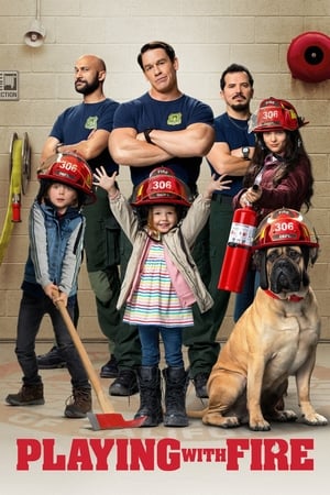 Playing with Fire (2019) Dual Audio | Hindi Full Movie BluRay [1GB]